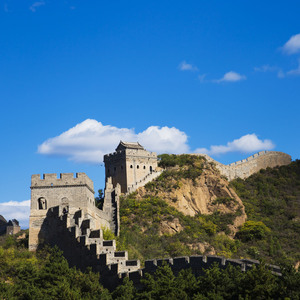 叙利亚女人逼逼视频
