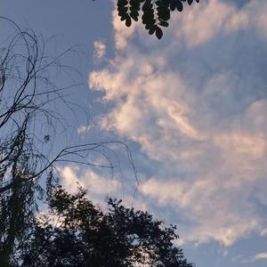 叙利亚女人逼逼视频
