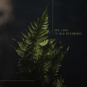 叙利亚女人逼逼视频
